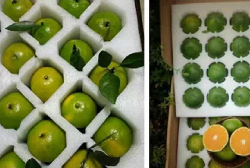 廠家直銷各種EPE珍珠棉泡沫、產(chǎn)品包裝泡沫、水果包裝泡沫等包裝盒內(nèi)襯